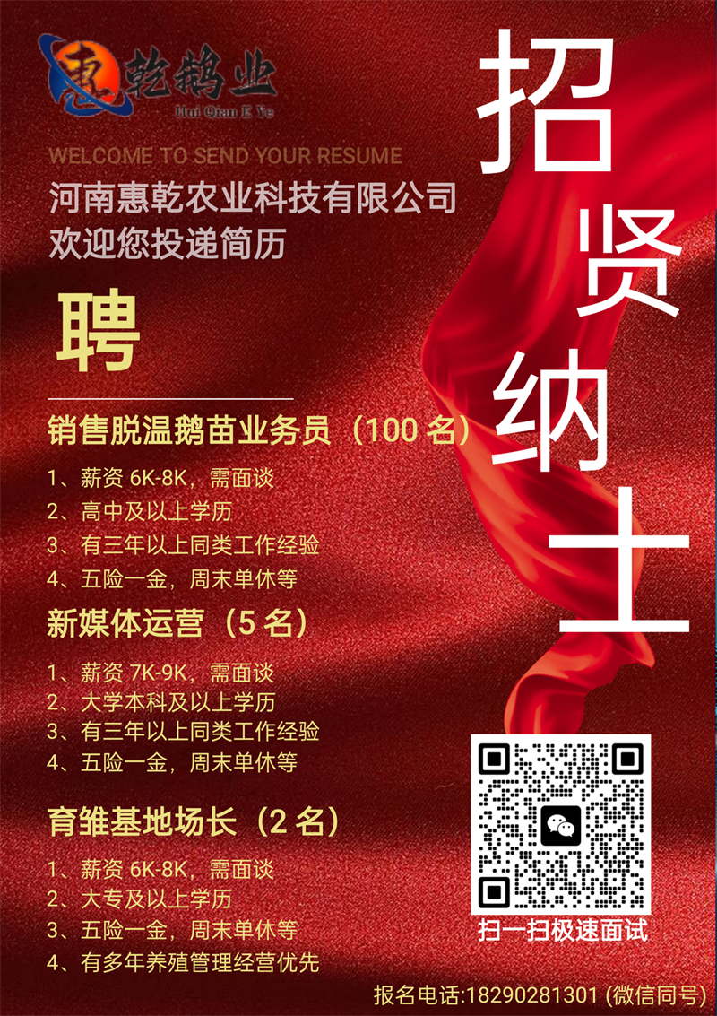 销售脱温鹅苗业务员(100名）；新媒体运营(5名)；育雏基地场长(2 名)