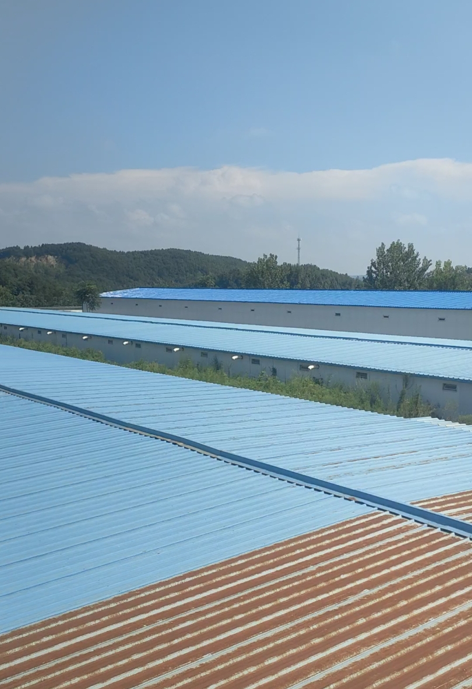 惠乾农业南召育雏基地